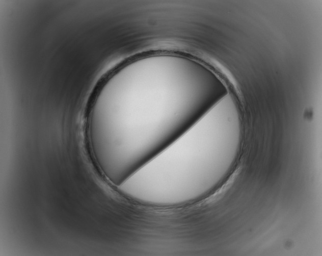 X0000103221029200808280921