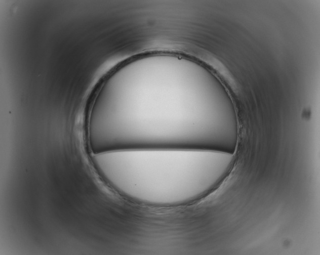 X0000103221030200808280921