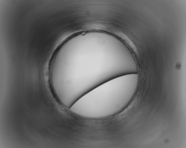 X0000103221031200808280921