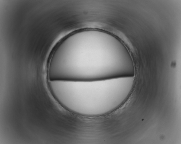X0000103221032200808280921