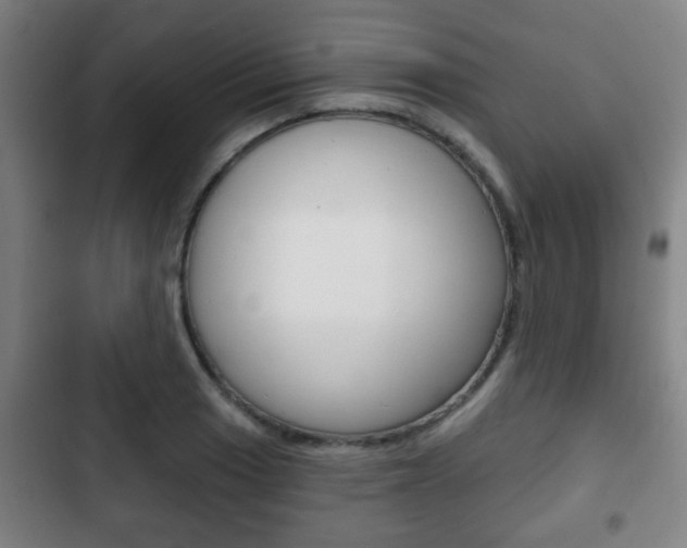 X0000103221033200808280921