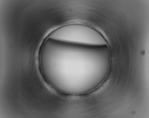 X0000103221034200808280921