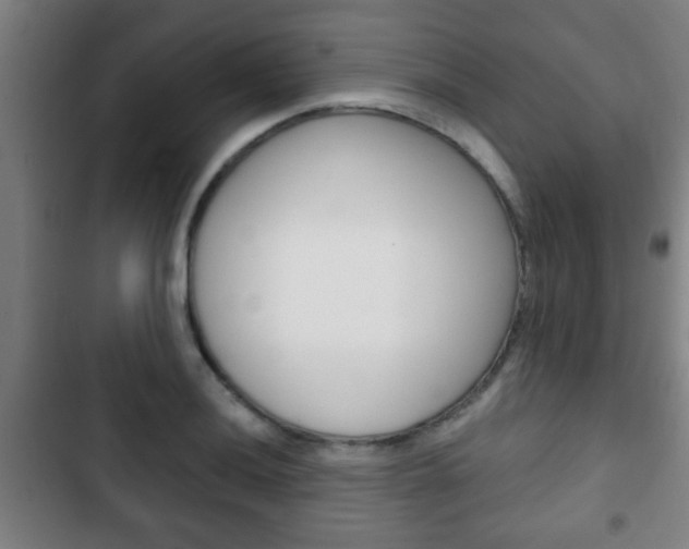 X0000103221036200808280921