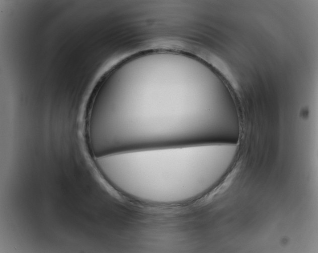 X0000103221037200808280921