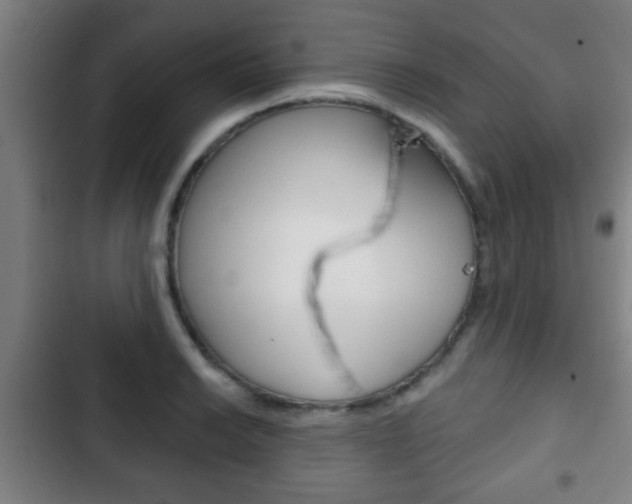 X0000103221038200808280921