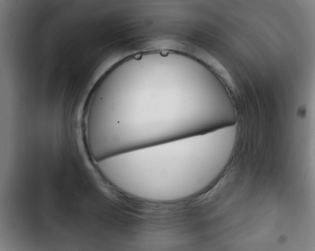 X0000103221039200808280921