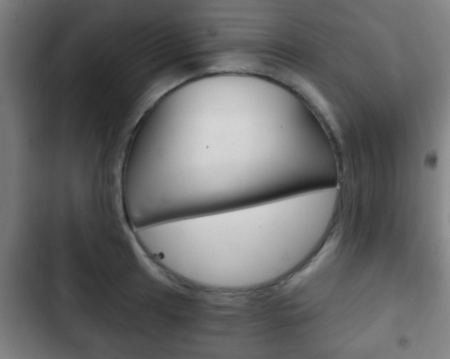 X0000103221041200808280921