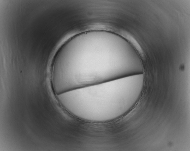 X0000103221043200808280921