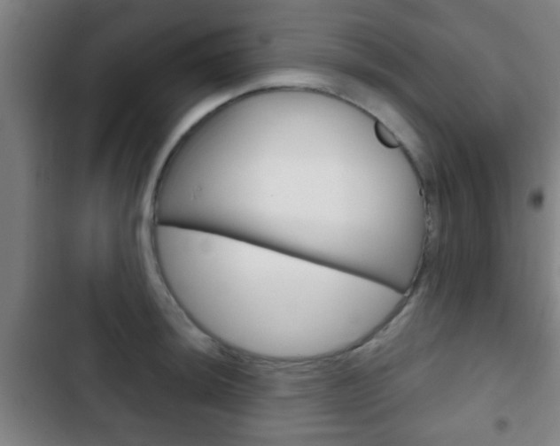 X0000103221044200808280921