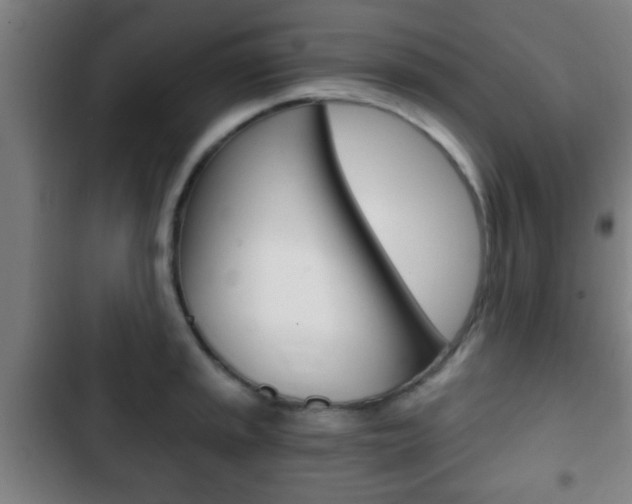 X0000103221045200808280921