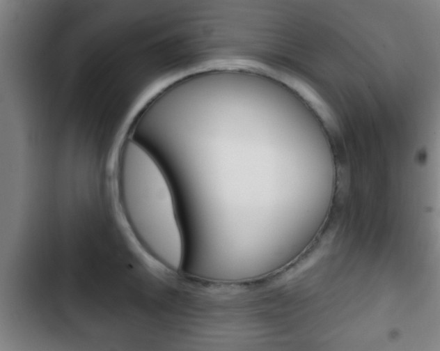 X0000103221046200808280921