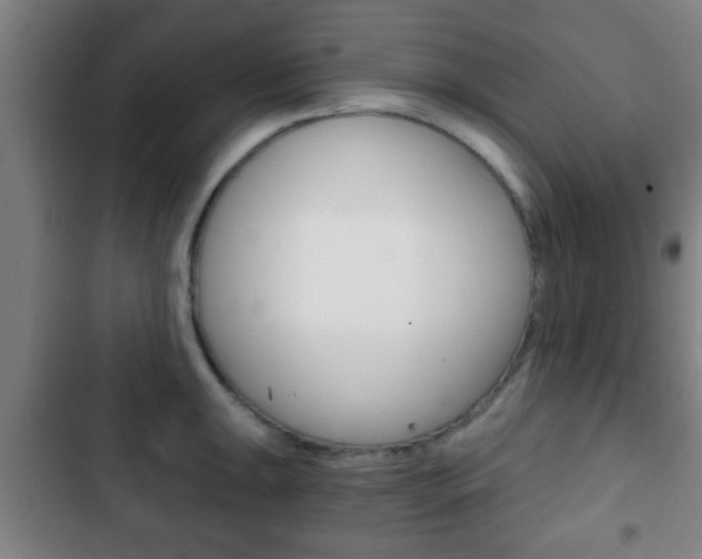 X0000103221047200808280921