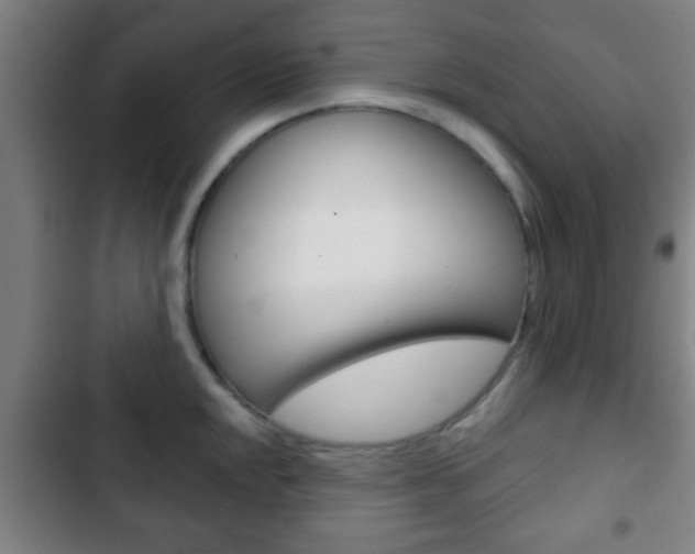 X0000103221048200808280921