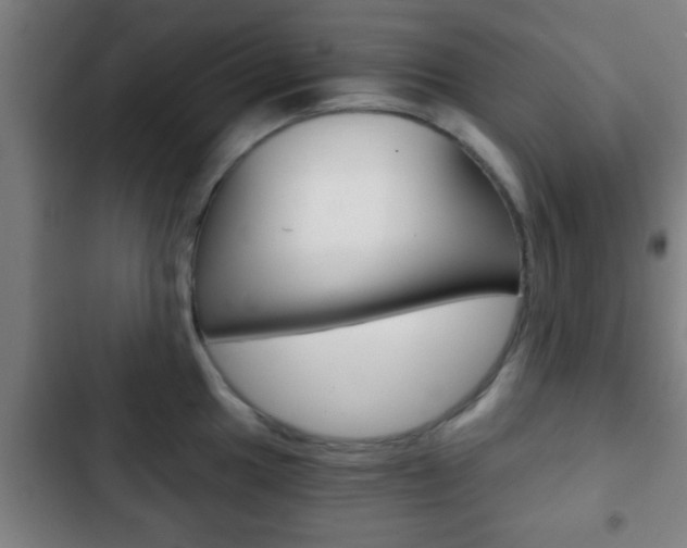 X0000103221049200808280921