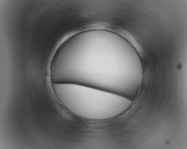 X0000103221051200808280921