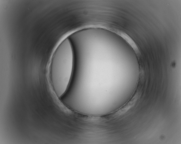 X0000103221052200808280921