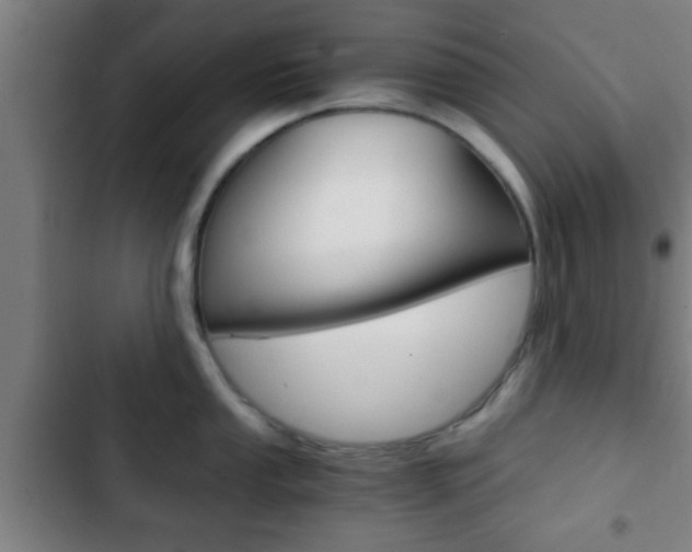 X0000103221053200808280921