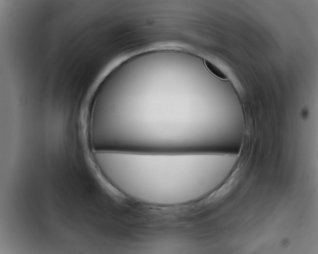 X0000103221054200808280921