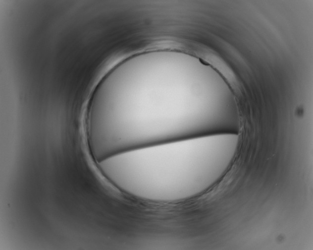 X0000103221055200808280921
