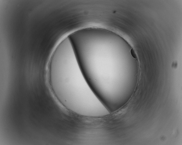 X0000103221056200808280921