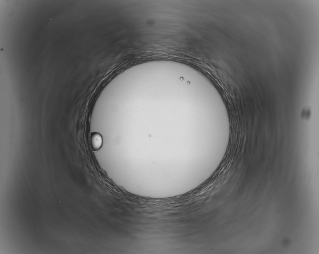 X0000103221057200808280921