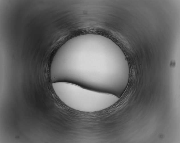 X0000103221060200808280921