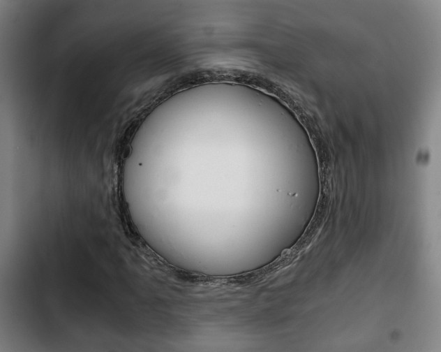 X0000103221061200808280921
