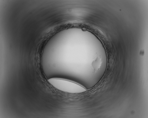 X0000103221062200808280921