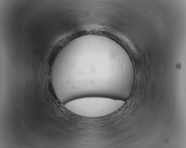 X0000103221063200808280921