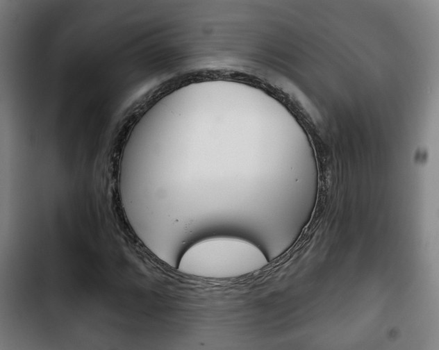X0000103221064200808280920