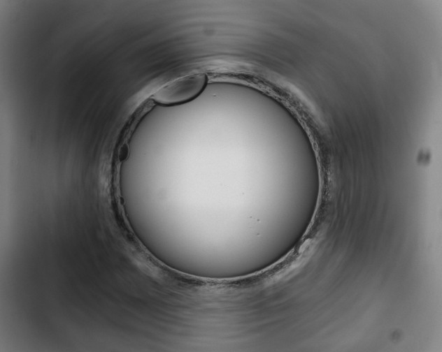 X0000103221065200808280920