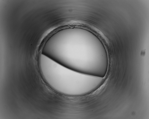 X0000103221066200808280920