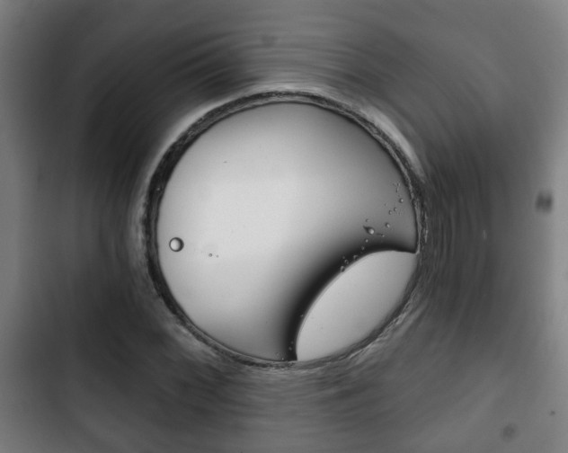 X0000103221068200808280920