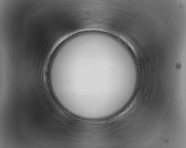 X0000103221069200808280920