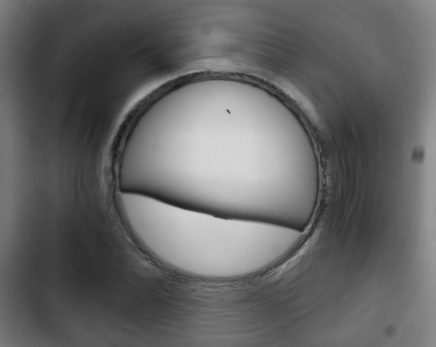 X0000103221070200808280920