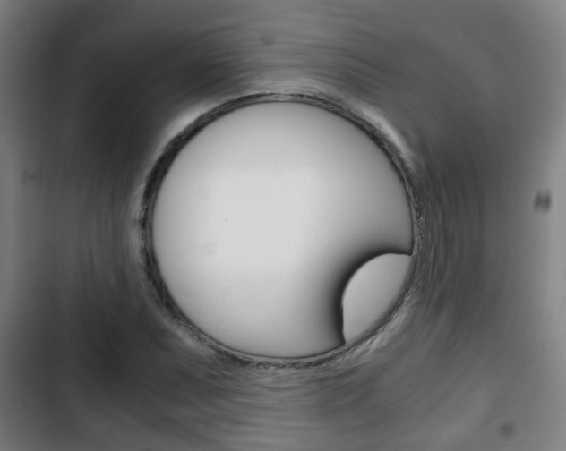 X0000103221071200808280920