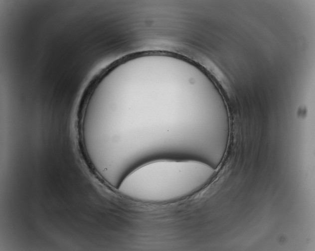 X0000103221072200808280920