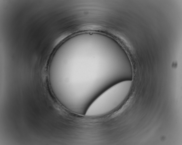 X0000103221073200808280920