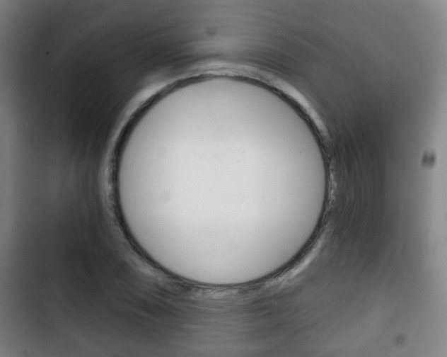 X0000103221074200808280920