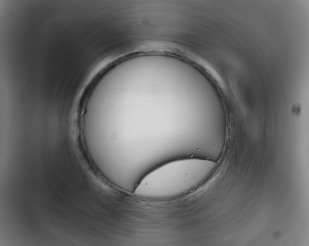 X0000103221075200808280920