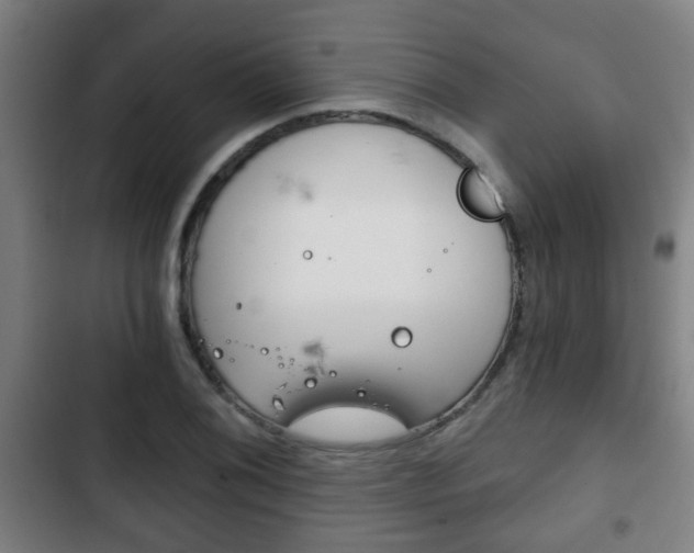 X0000103221076200808280920