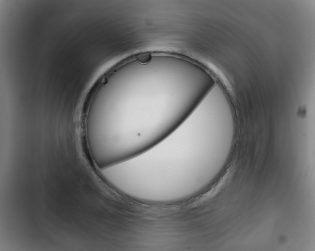 X0000103221077200808280920