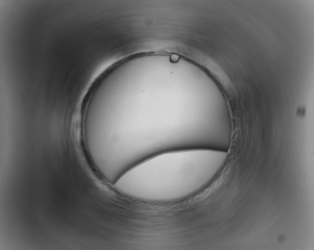 X0000103221079200808280920