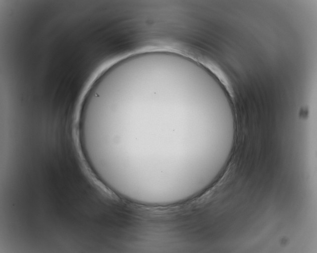 X0000103221080200808280920