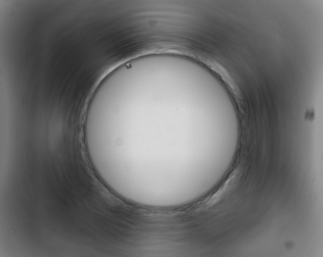 X0000103221081200808280920