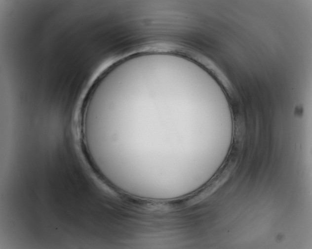 X0000103221083200808280920