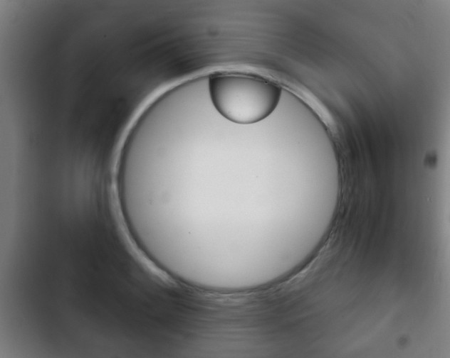 X0000103221084200808280920
