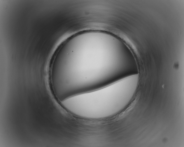 X0000103221085200808280920