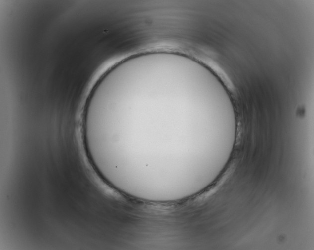 X0000103221086200808280920