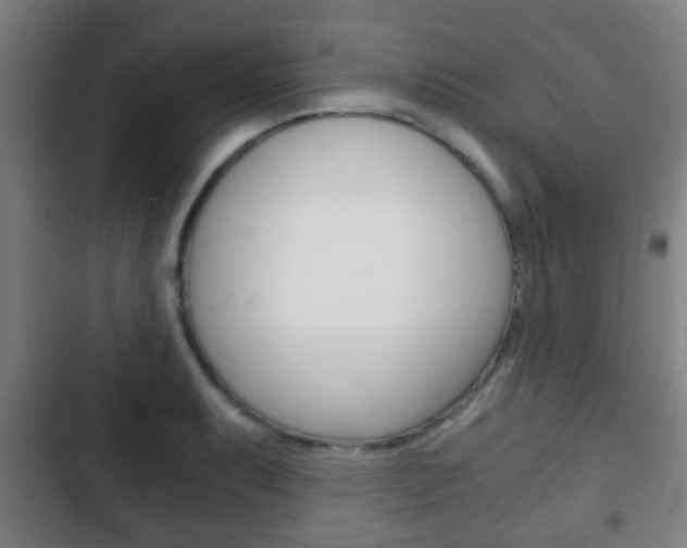 X0000103221087200808280920